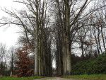 Landgoed De Barkel